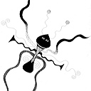 buggirl