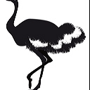 ostrich